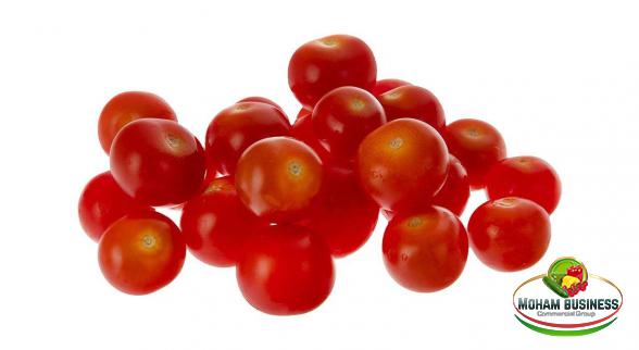 Wholesale price of cherry tomatoes