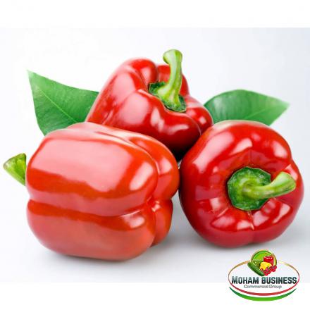 Wholesale production of Coloured bell pepper