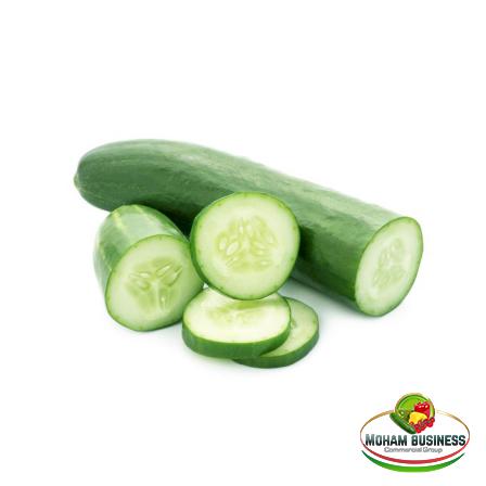 Wholesale price of The best cucumber