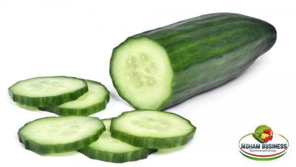 Distribution centers of the best cucumber