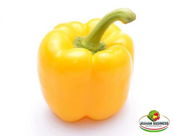 Wholesale Supplier of coloured bell pepper