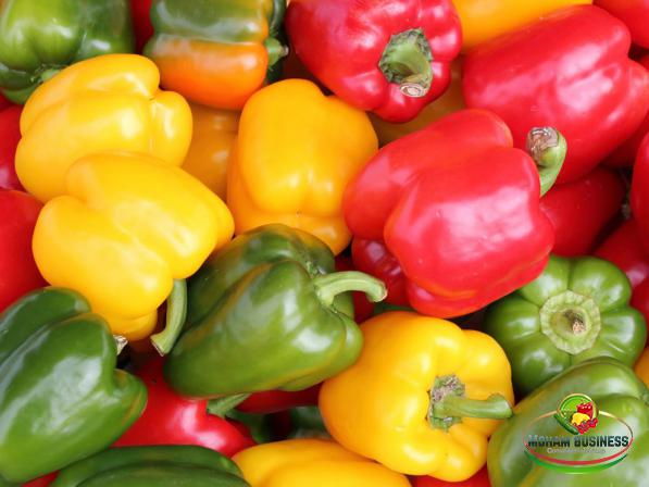 Main Suppliers of coloured bell pepper