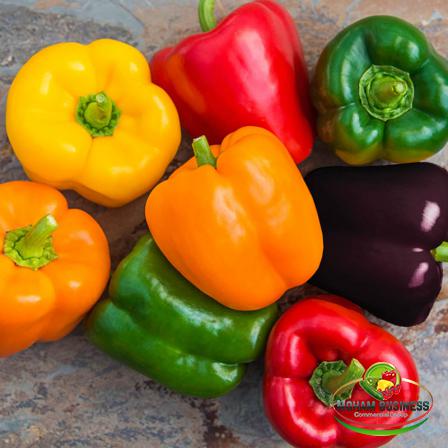 Does the color of a bell pepper matter?