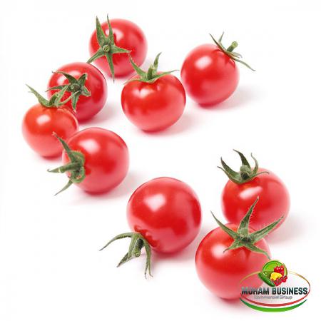 Wholesale production of cherry tomatoes