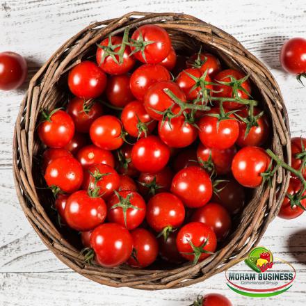 Cherry tomatoes Wholesale production